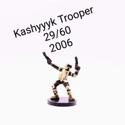 Kashyyyk Trooper