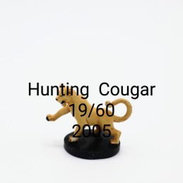 Hunting Cougar