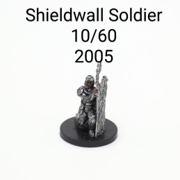 Shielwall Soldier