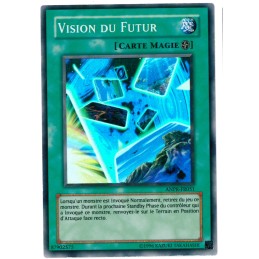 VISION DU FUTUR