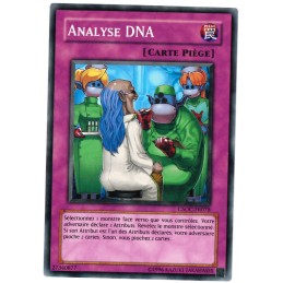 ANALYSE DNA