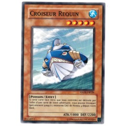 CROISEUR REQUIN