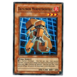 DATATRON MORPHTRONIQUE