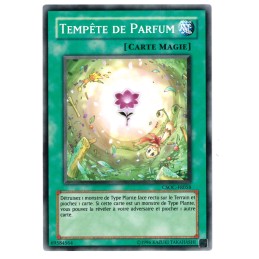 TEMPÊTE DE PARFUM