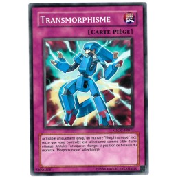 TRANSMORPHISME