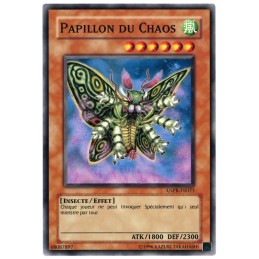 PAPILLON DU CHAOS