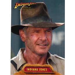 Indiana Jones et le Royaume...