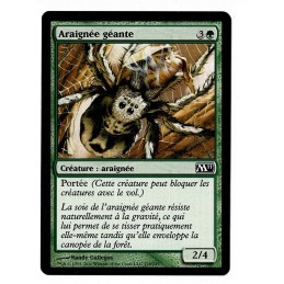 Araignée géante