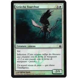 Grièche fourchue - Foil Card